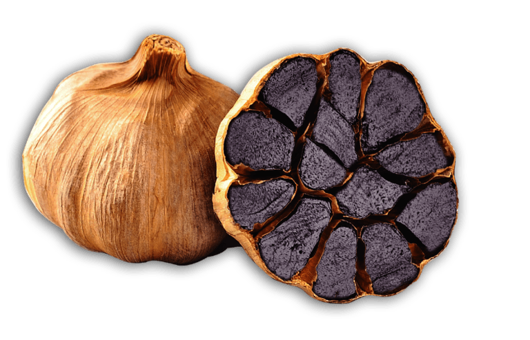 Black Garlic Recipes