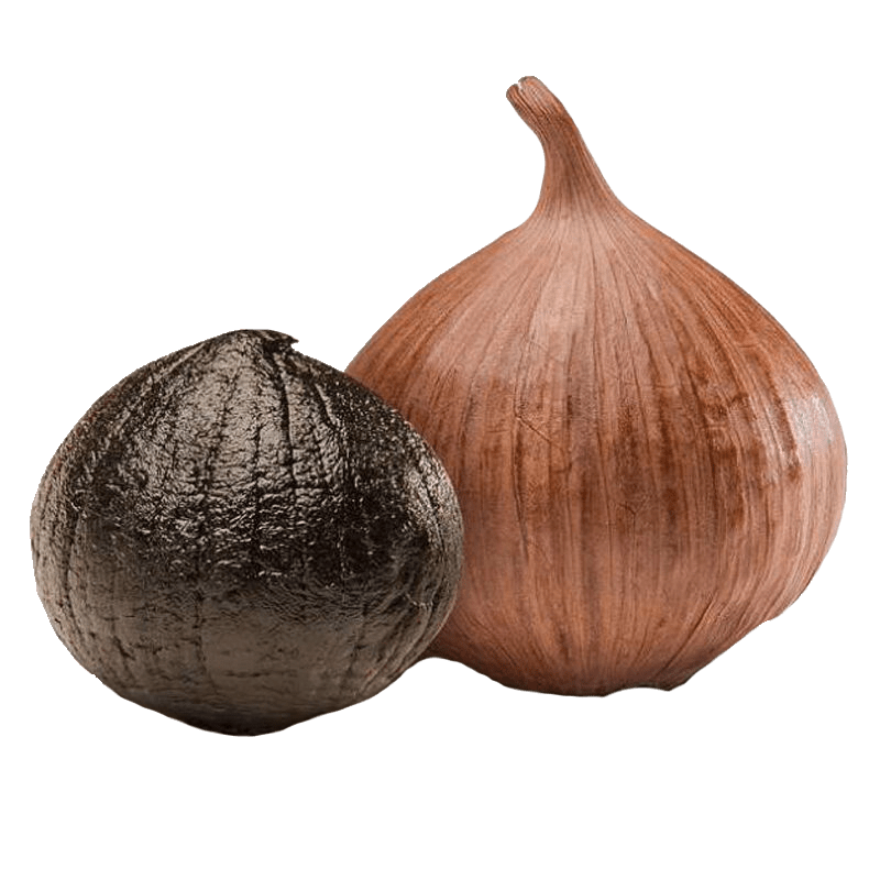 Black Garlic Recipes